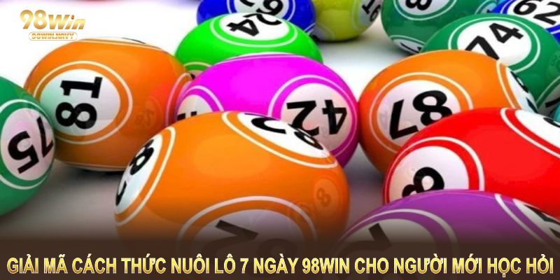 Giải mã cách thức nuôi lô 7 ngày 98WIN cho người mới học hỏi