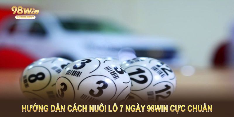 Hướng dẫn cách nuôi lô 7 ngày 98WIN cực chuẩn
